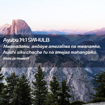 Picture 02 - Ayubu 14:1 SWHULB - Mwanadamu, ambaye amezaliwa na mwanamke, huishi - Bible Verse Picture