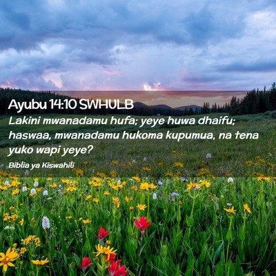 Picture 02 - Ayubu 14:10 SWHULB - Lakini mwanadamu hufa; yeye huwa dhaifu; haswaa, - Bible Verse Picture
