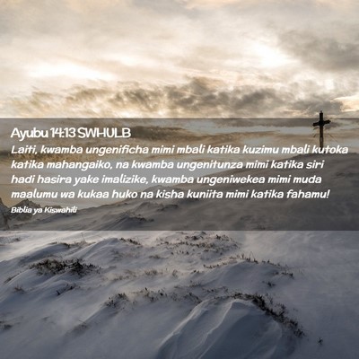 Picture 02 - Ayubu 14:13 SWHULB - Laiti, kwamba ungenificha mimi mbali katika - Bible Verse Picture