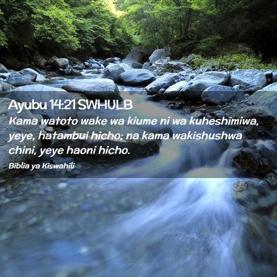 Picture 02 - Ayubu 14:21 SWHULB - Kama watoto wake wa kiume ni wa kuheshimiwa, - Bible Verse Picture