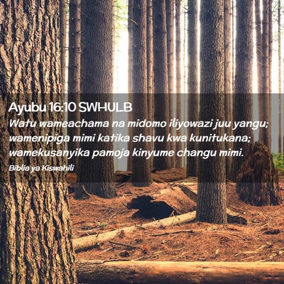 Picture 02 - Ayubu 16:10 SWHULB - Watu wameachama na midomo iliyowazi juu yangu; - Bible Verse Picture