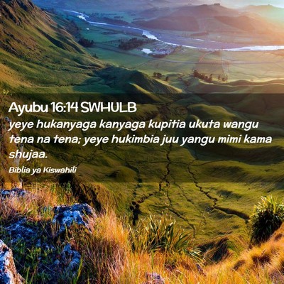 Picture 02 - Ayubu 16:14 SWHULB - yeye hukanyaga kanyaga kupitia ukuta wangu tena - Bible Verse Picture