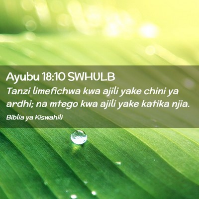 Picture 02 - Ayubu 18:10 SWHULB - Tanzi limefichwa kwa ajili yake chini ya ardhi; - Bible Verse Picture