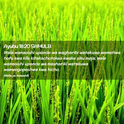 Picture 02 - Ayubu 18:20 SWHULB - Wale wanaoishi upande wa magharibi watakuwa - Bible Verse Picture