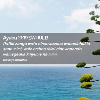 Picture 02 - Ayubu 19:19 SWHULB - Rafiki zangu wote ninaowazoea wananichukia sana - Bible Verse Picture