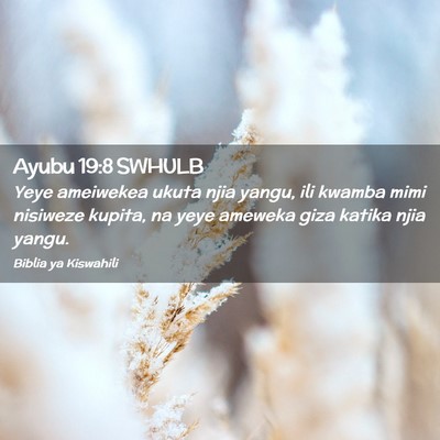 Picture 02 - Ayubu 19:8 SWHULB - Yeye ameiwekea ukuta njia yangu, ili kwamba mimi - Bible Verse Picture