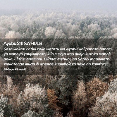 Picture 02 - Ayubu 2:11 SWHULB - Sasa wakati rafiki zake watatu wa Ayubu - Bible Verse Picture