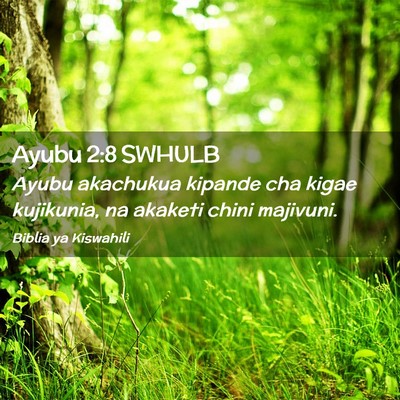 Picture 02 - Ayubu 2:8 SWHULB - Ayubu akachukua kipande cha kigae kujikunia, na - Bible Verse Picture