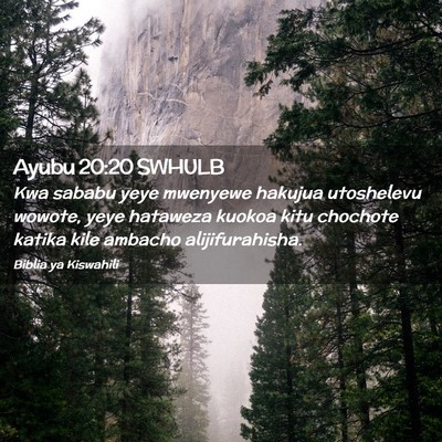 Picture 02 - Ayubu 20:20 SWHULB - Kwa sababu yeye mwenyewe hakujua utoshelevu - Bible Verse Picture