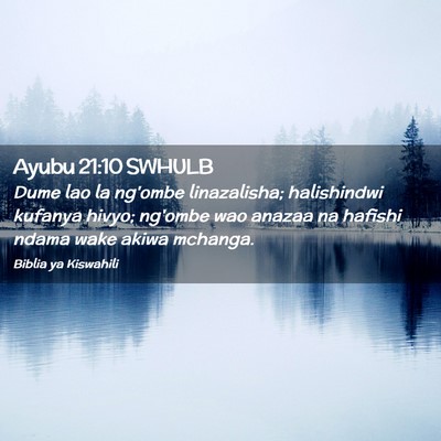 Picture 02 - Ayubu 21:10 SWHULB - Dume lao la ng'ombe linazalisha; halishindwi - Bible Verse Picture