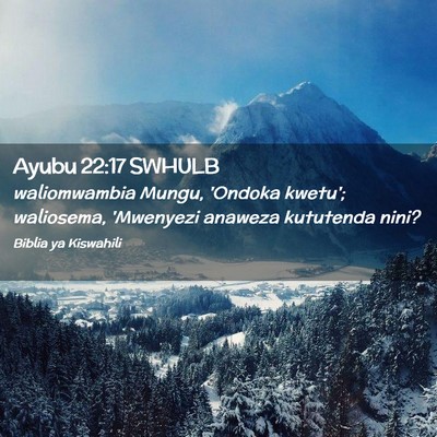 Picture 02 - Ayubu 22:17 SWHULB - waliomwambia Mungu, 'Ondoka kwetu'; waliosema, - Bible Verse Picture