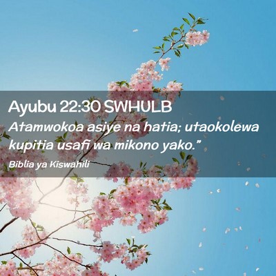 Picture 02 - Ayubu 22:30 SWHULB - Atamwokoa asiye na hatia; utaokolewa kupitia - Bible Verse Picture