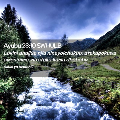 Picture 02 - Ayubu 23:10 SWHULB - Lakini anaijua njia ninayoichukua; atakapokuwa - Bible Verse Picture