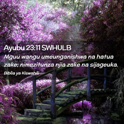 Picture 02 - Ayubu 23:11 SWHULB - Mguu wangu umeunganishwa na hatua zake; - Bible Verse Picture