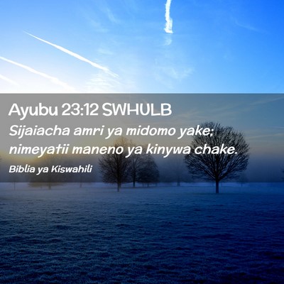 Picture 02 - Ayubu 23:12 SWHULB - Sijaiacha amri ya midomo yake; nimeyatii maneno - Bible Verse Picture