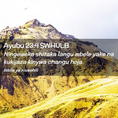 Picture 02 - Ayubu 23:4 SWHULB - Ningeweka shitaka langu mbele yake na kukijaza - Bible Verse Picture