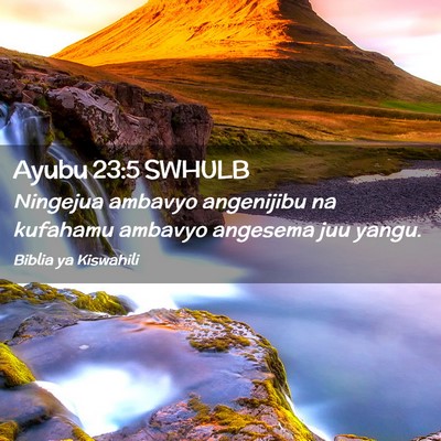 Picture 02 - Ayubu 23:5 SWHULB - Ningejua ambavyo angenijibu na kufahamu ambavyo - Bible Verse Picture