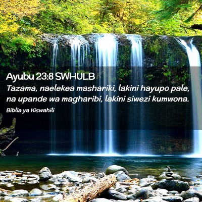 Picture 02 - Ayubu 23:8 SWHULB - Tazama, naelekea mashariki, lakini hayupo pale, - Bible Verse Picture