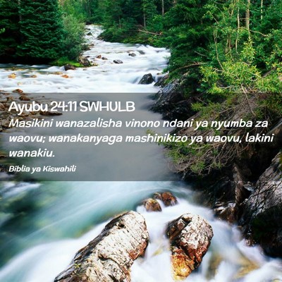 Picture 02 - Ayubu 24:11 SWHULB - Masikini wanazalisha vinono ndani ya nyumba za - Bible Verse Picture