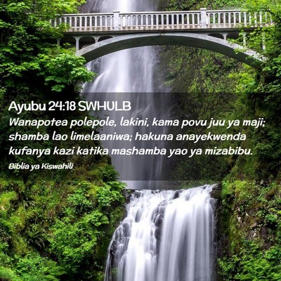 Picture 02 - Ayubu 24:18 SWHULB - Wanapotea polepole, lakini, kama povu juu ya - Bible Verse Picture
