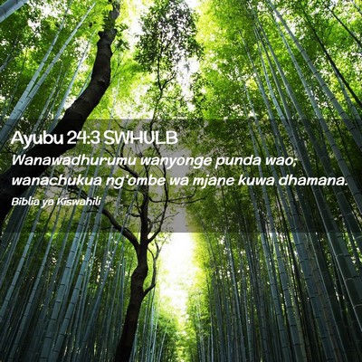 Picture 02 - Ayubu 24:3 SWHULB - Wanawadhurumu wanyonge punda wao; wanachukua - Bible Verse Picture