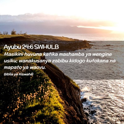 Picture 02 - Ayubu 24:6 SWHULB - Masikini huvuna katika mashamba ya wengine usiku; - Bible Verse Picture