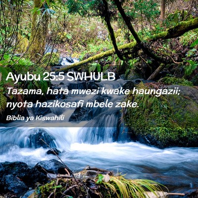 Picture 02 - Ayubu 25:5 SWHULB - Tazama, hata mwezi kwake haungazii; nyota - Bible Verse Picture