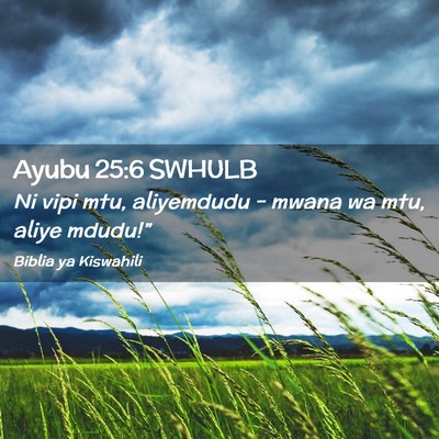 Picture 02 - Ayubu 25:6 SWHULB - Ni vipi mtu, aliyemdudu - mwana wa mtu, aliye - Bible Verse Picture