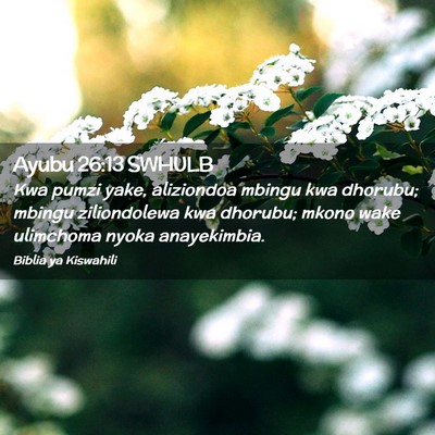 Picture 02 - Ayubu 26:13 SWHULB - Kwa pumzi yake, aliziondoa mbingu kwa dhorubu; - Bible Verse Picture