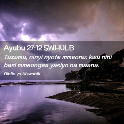Picture 02 - Ayubu 27:12 SWHULB - Tazama, ninyi nyote mmeona; kwa nini basi - Bible Verse Picture