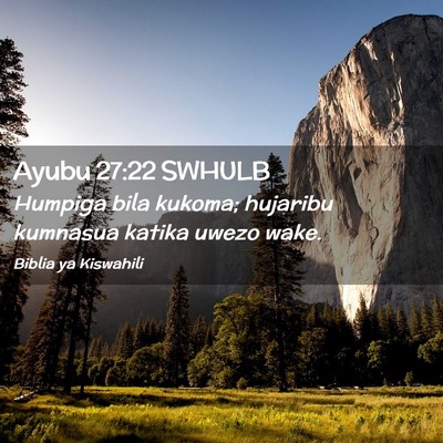 Picture 02 - Ayubu 27:22 SWHULB - Humpiga bila kukoma; hujaribu kumnasua katika - Bible Verse Picture