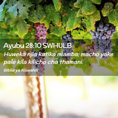 Picture 02 - Ayubu 28:10 SWHULB - Huweka njia katika miamba; macho yake pale kila - Bible Verse Picture