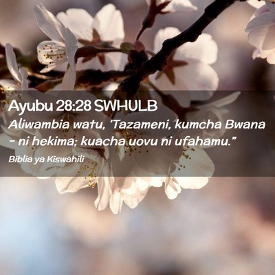 Picture 02 - Ayubu 28:28 SWHULB - Aliwambia watu, 'Tazameni, kumcha Bwana - ni - Bible Verse Picture