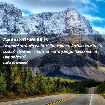 Picture 02 - Ayubu 3:11 SWHULB - Kwanini si-kufa wakati lipotokeza katika tumbo la - Bible Verse Picture