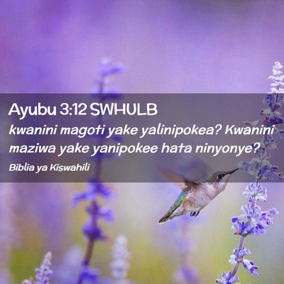 Picture 02 - Ayubu 3:12 SWHULB - kwanini magoti yake yalinipokea? Kwanini maziwa - Bible Verse Picture