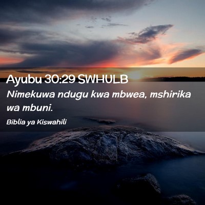 Picture 02 - Ayubu 30:29 SWHULB - Nimekuwa ndugu kwa mbwea, mshirika wa - Bible Verse Picture