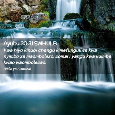 Picture 02 - Ayubu 30:31 SWHULB - Kwa hiyo kinubi changu kimefunguliwa kwa nyimbo - Bible Verse Picture