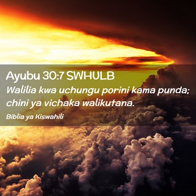 Picture 02 - Ayubu 30:7 SWHULB - Walilia kwa uchungu porini kama punda; chini ya - Bible Verse Picture