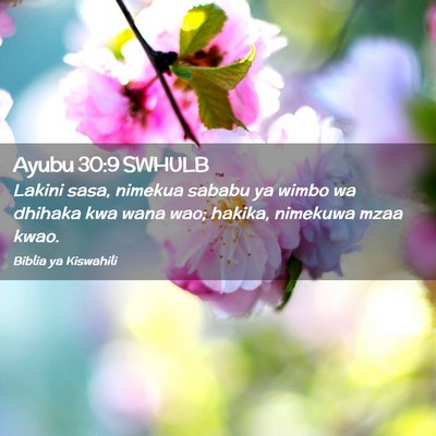Picture 02 - Ayubu 30:9 SWHULB - Lakini sasa, nimekua sababu ya wimbo wa dhihaka - Bible Verse Picture