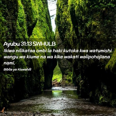 Picture 02 - Ayubu 31:13 SWHULB - Ikiwa nilikataa ombi la haki kutoka kwa watumishi - Bible Verse Picture