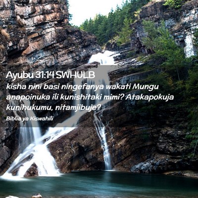 Picture 02 - Ayubu 31:14 SWHULB - kisha nini basi ningefanya wakati Mungu - Bible Verse Picture