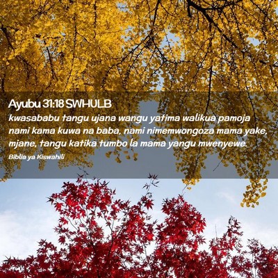 Picture 02 - Ayubu 31:18 SWHULB - kwasababu tangu ujana wangu yatima walikua pamoja - Bible Verse Picture