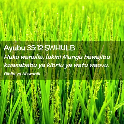 Picture 02 - Ayubu 35:12 SWHULB - Huko wanalia, lakini Mungu hawajibu kwasababu ya - Bible Verse Picture