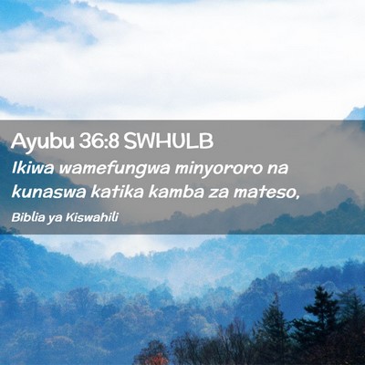 Picture 02 - Ayubu 36:8 SWHULB - Ikiwa wamefungwa minyororo na kunaswa katika - Bible Verse Picture