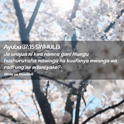 Picture 02 - Ayubu 37:15 SWHULB - Je unajua ni kwa namna gani Mungu hushurutisha - Bible Verse Picture