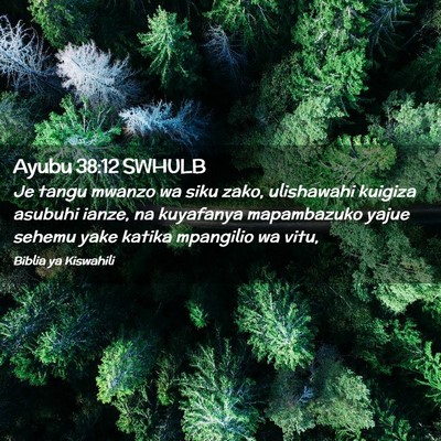 Picture 02 - Ayubu 38:12 SWHULB - Je tangu mwanzo wa siku zako, ulishawahi kuigiza - Bible Verse Picture