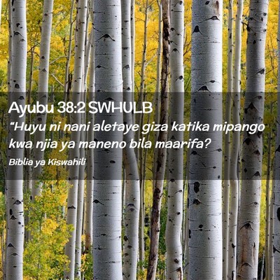 Picture 02 - Ayubu 38:2 SWHULB - “Huyu ni nani aletaye giza katika mipango kwa - Bible Verse Picture