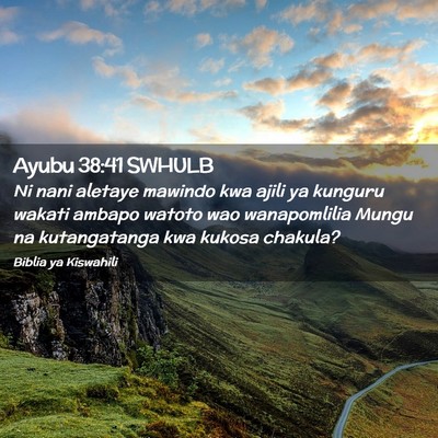 Picture 02 - Ayubu 38:41 SWHULB - Ni nani aletaye mawindo kwa ajili ya kunguru - Bible Verse Picture