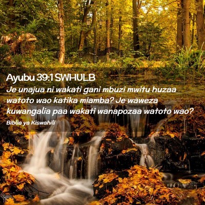 Picture 02 - Ayubu 39:1 SWHULB - Je unajua ni wakati gani mbuzi mwitu huzaa watoto - Bible Verse Picture