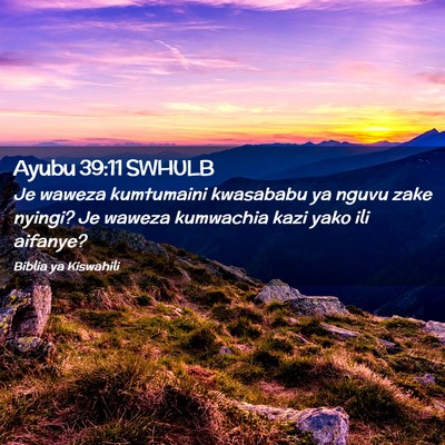 Picture 02 - Ayubu 39:11 SWHULB - Je waweza kumtumaini kwasababu ya nguvu zake - Bible Verse Picture